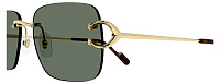 Cartier CT 0330S 005