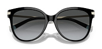 Tiffany & Co TF 4193B 8001T3
