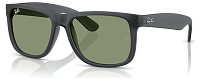 Ray-Ban RB 4165 687382