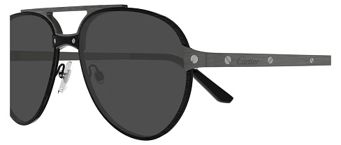 Cartier CT0476S 005