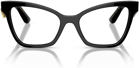 Dolce & Gabbana DG 3369 501