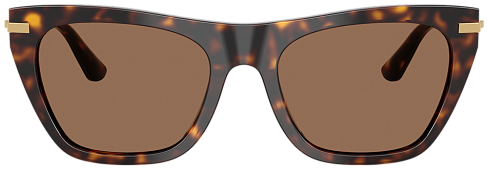 Dolce & Gabbana DG 4511 502/73