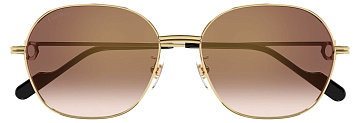 Cartier CT 0569SA 003