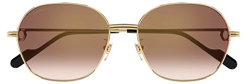 Cartier CT 0569SA 003