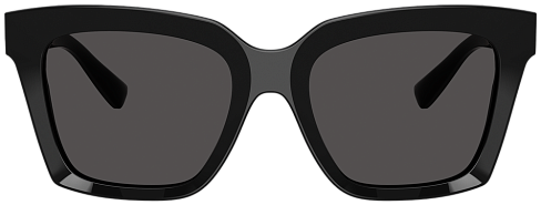 Dolce & Gabbana DG 4498 501/87