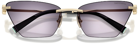 Tiffany & Co TF 3120 62438H
