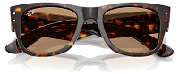 Ray-Ban RB 0840S 902/53