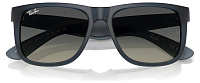 Ray-Ban RB 4165 681311