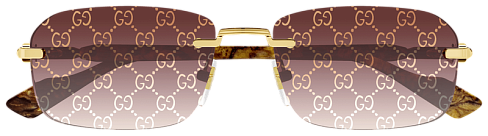 Gucci GG1221S 004