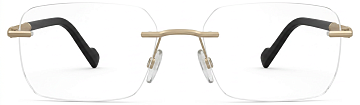 Pierre Cardin P.C. 6919 J5G