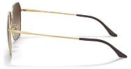Vogue VO 4215SD 280/13