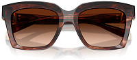 Dolce & Gabbana DG 4498 322274