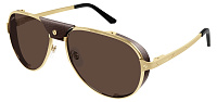 Cartier CT 0296S 005