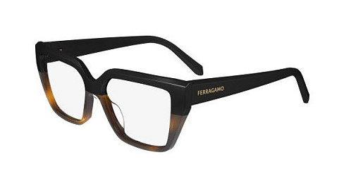 Salvatore Ferragamo SF2971 006