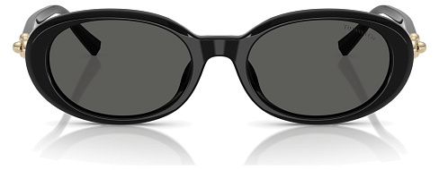 Tiffany & Co TF 4242D 8361S4