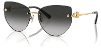Tiffany & Co TF 3096 60213C