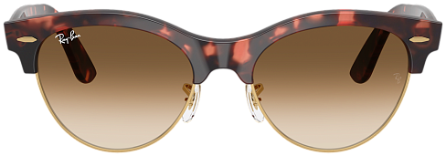 Ray-Ban RB 2341 143251