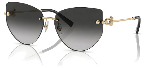 Tiffany & Co TF 3096 60213C