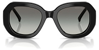 Giorgio Armani AR 8248 500111