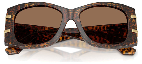 Dolce & Gabbana DG 4501 347073