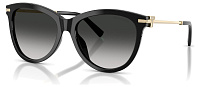 Tiffany & Co TF 4258BU 80013C