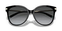 Tiffany & Co TF 4193B 8001T3