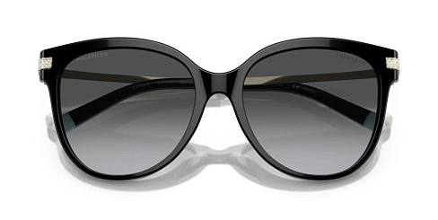 Tiffany & Co TF 4193B 8001T3