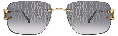 Cartier CT0330S 007