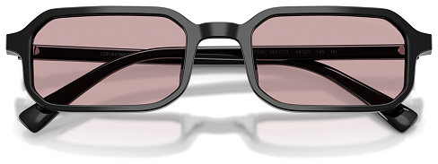 Emporio Armani EA 4253U 501773