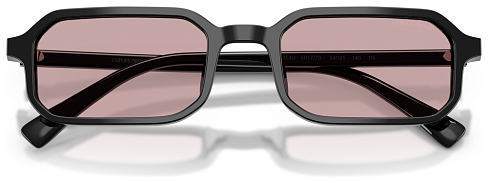 Emporio Armani EA 4253U 501773