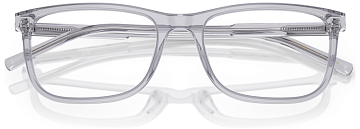 Dolce & Gabbana DG 3427 3291