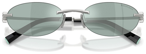 Tiffany & Co TF 3119D 600165