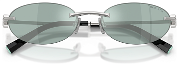 Tiffany & Co TF 3119D 600165