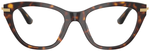 Dolce & Gabbana DG 3428 502