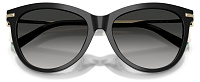 Tiffany & Co TF 4258BU 80013C