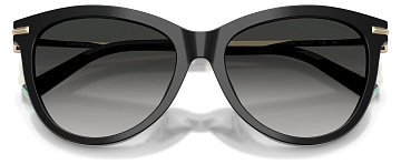 Tiffany & Co TF 4258BU 80013C
