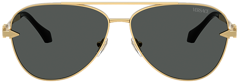 Versace VE 2283 100287