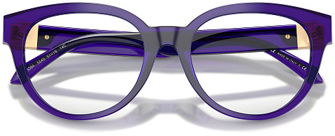Versace VE 3384 5545