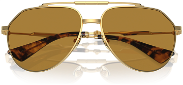 Dolce & Gabbana DG 2302 02/53