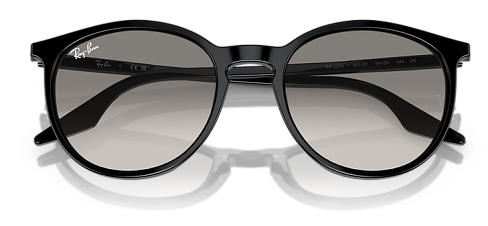 Ray-Ban RB 2204 901/32