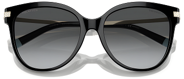 Tiffany & Co TF 4193B 8001T3