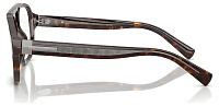 Dolce & Gabbana DG 3447 502