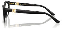 Dolce & Gabbana DG 3398 501