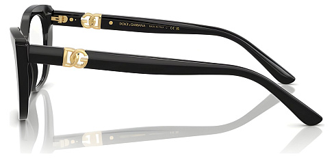 Dolce & Gabbana DG 3398 501
