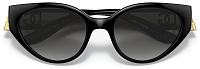Dolce & Gabbana DG 6146 501/8G
