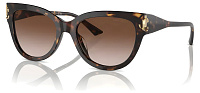 Jimmy Choo JC 5018U 500213