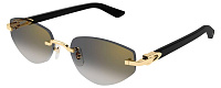 Cartier CT 0580S 001