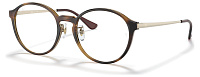Ray-Ban RX 7178D 2012