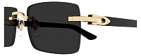 Cartier CT 0579S 005