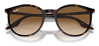 Ray-Ban RB 2204 902/51